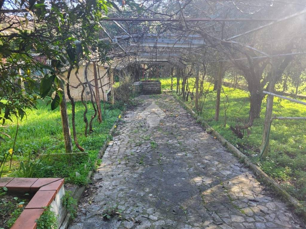 immagine annuncio 7 di 12