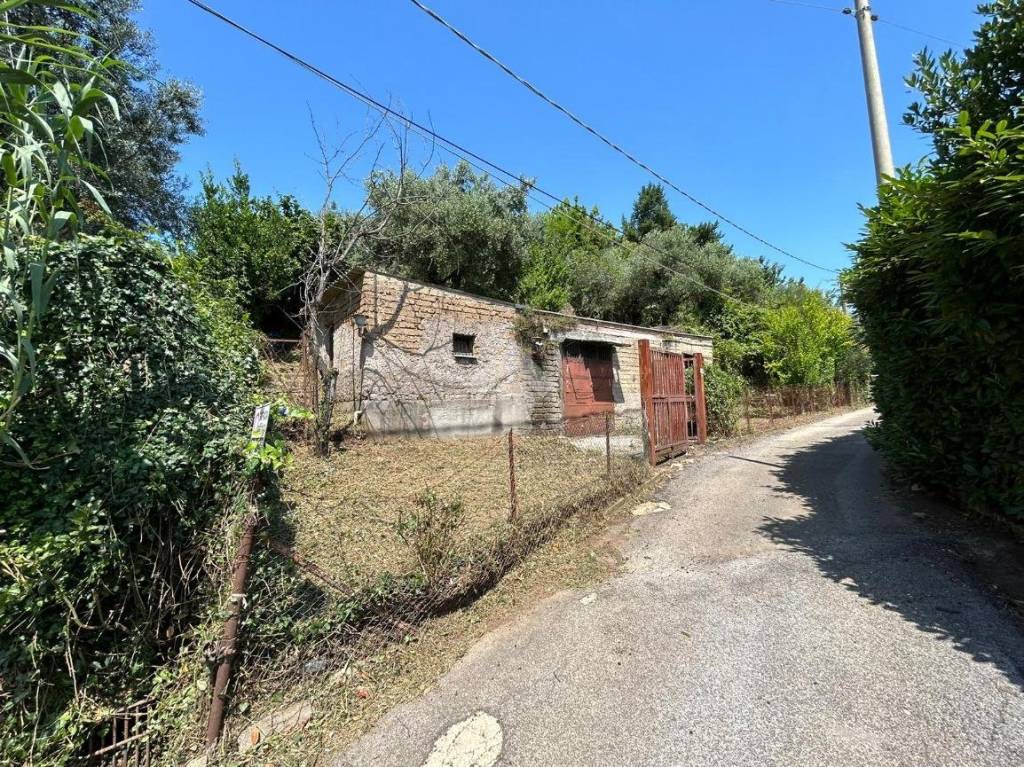 immagine annuncio 11 di 12