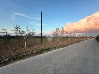 Terreno agricolo in vendita a cerignola contrada san martino