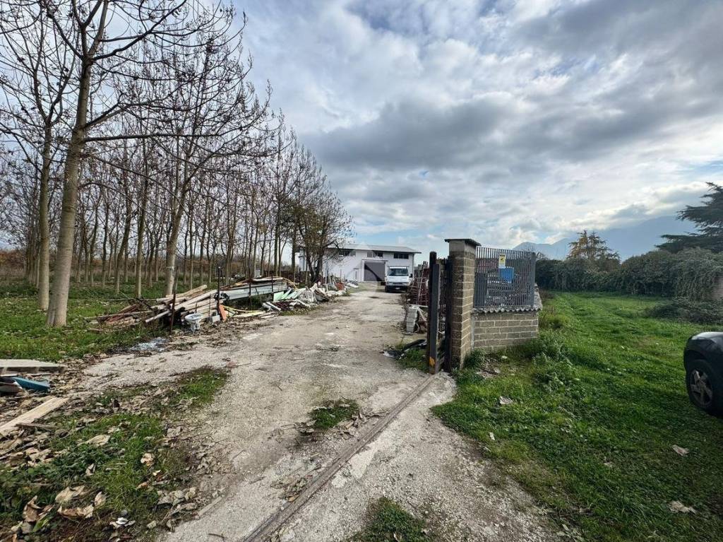 immagine annuncio 12 di 15