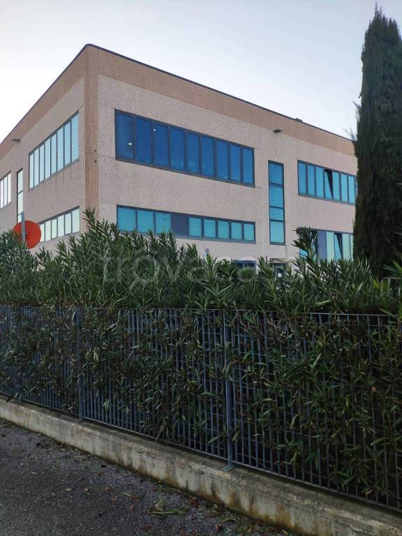 immagine annuncio 2 di 9