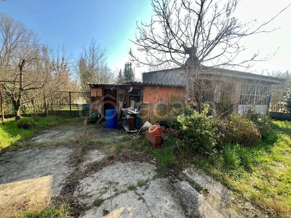 immagine annuncio 10 di 15
