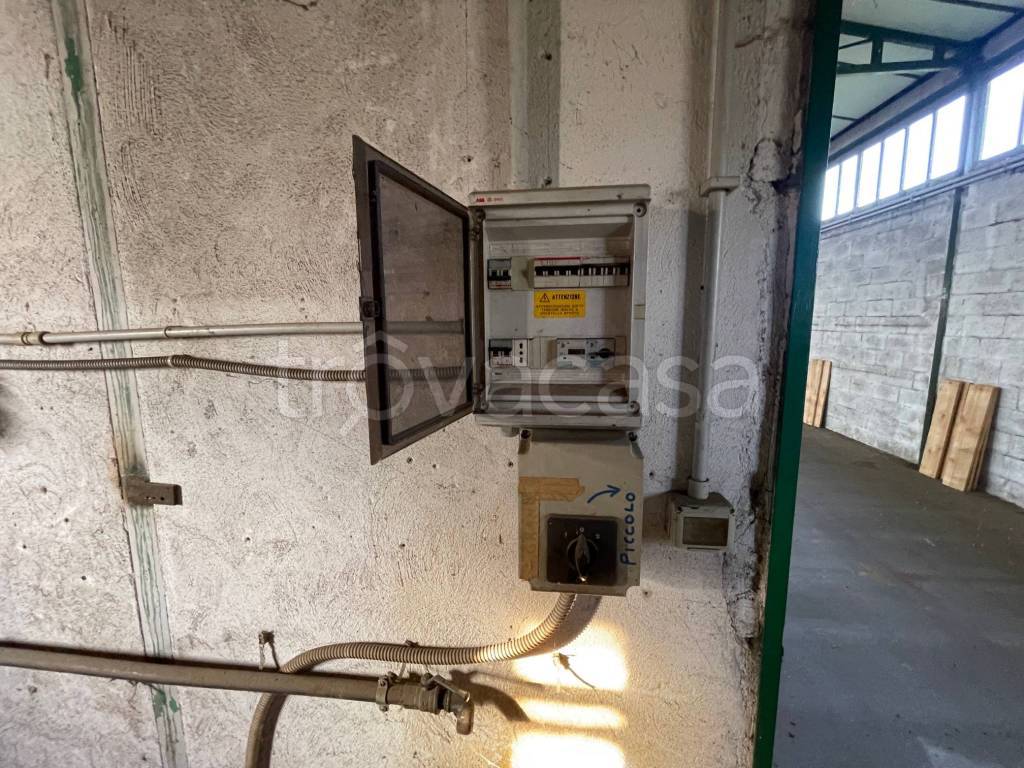 immagine annuncio 9 di 15