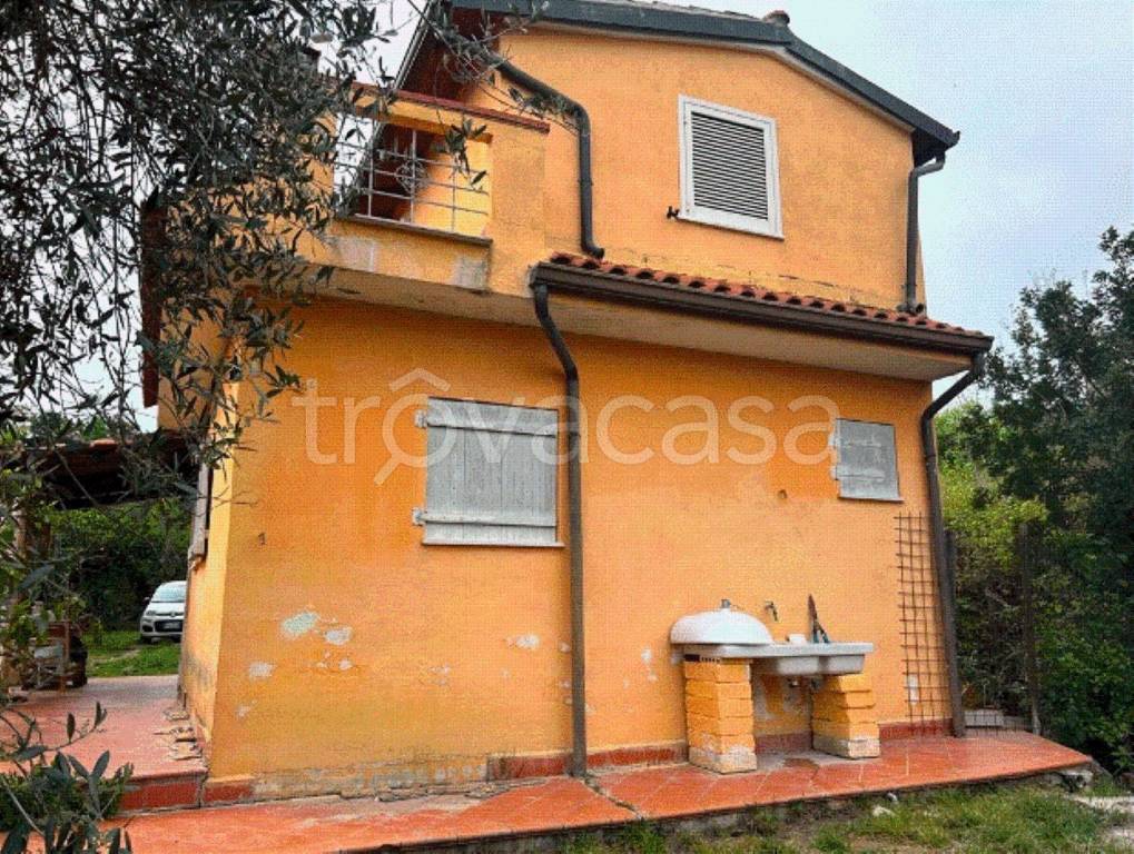 immagine annuncio 5 di 11