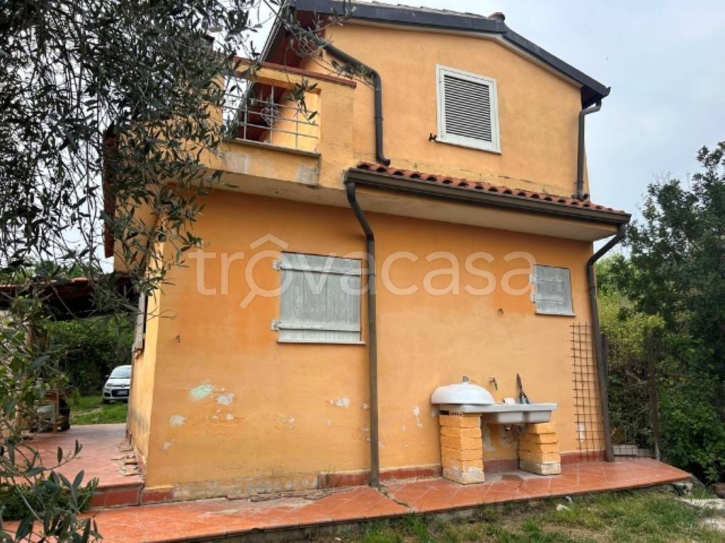 immagine annuncio 8 di 11