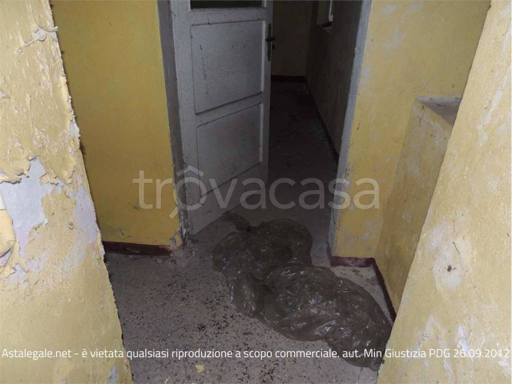 immagine annuncio 4 di 14