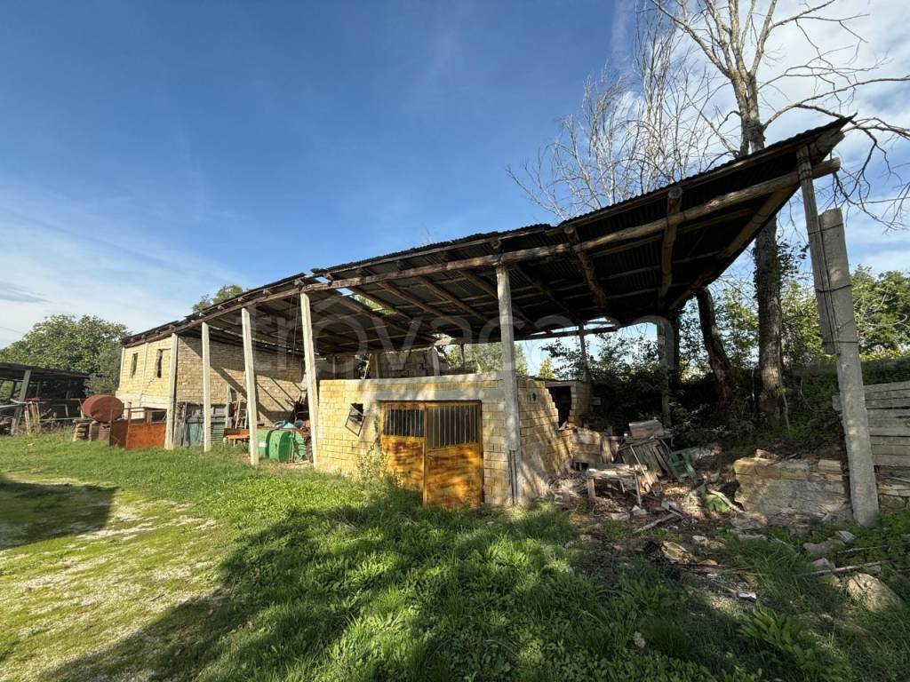immagine annuncio 12 di 15