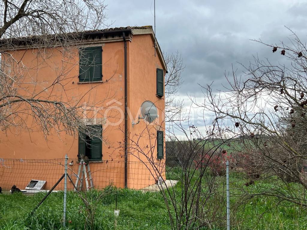 immagine annuncio 2 di 4