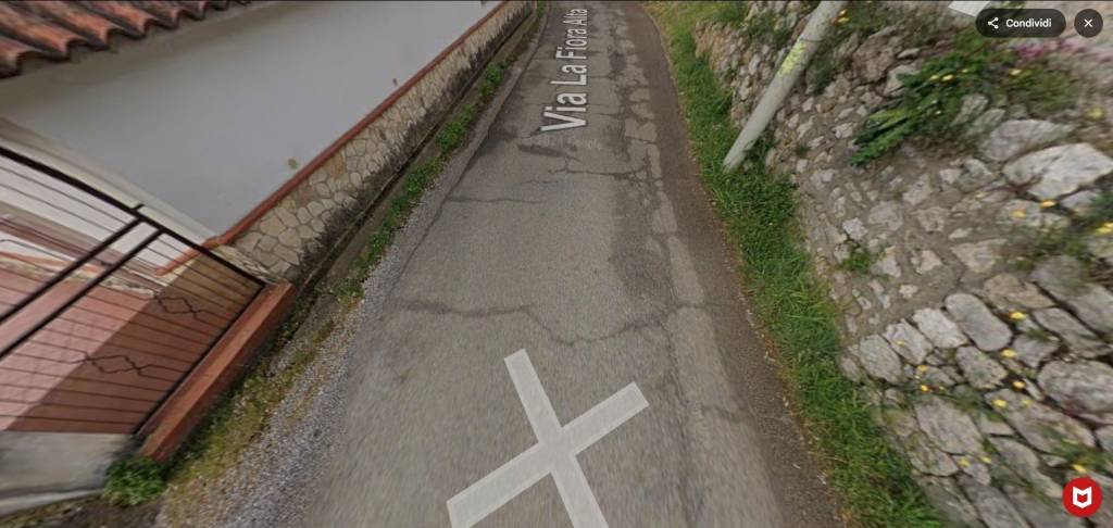 immagine annuncio 5 di 11