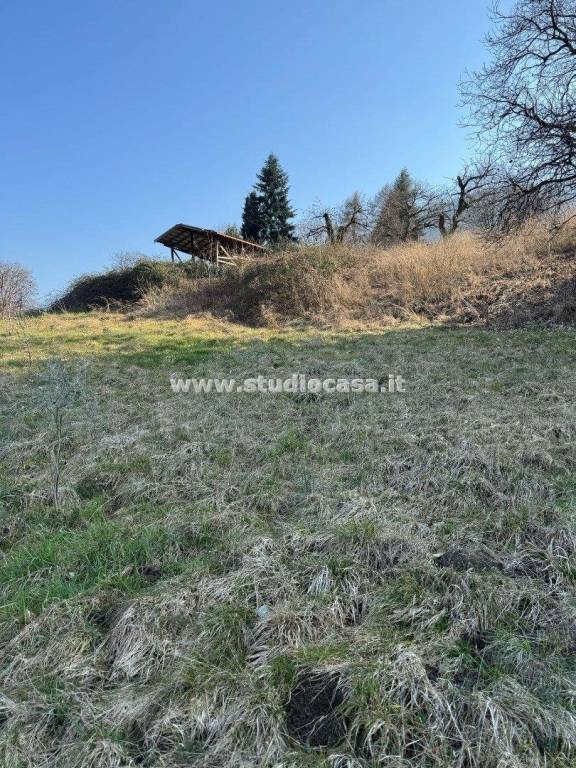 immagine annuncio 1 di 8