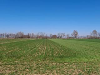 Terreno agricolo in vendita a vedelago via piave, 36