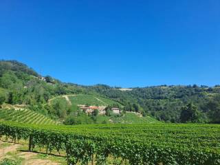 Terreno agricolo in vendita a cessole regione scaliti