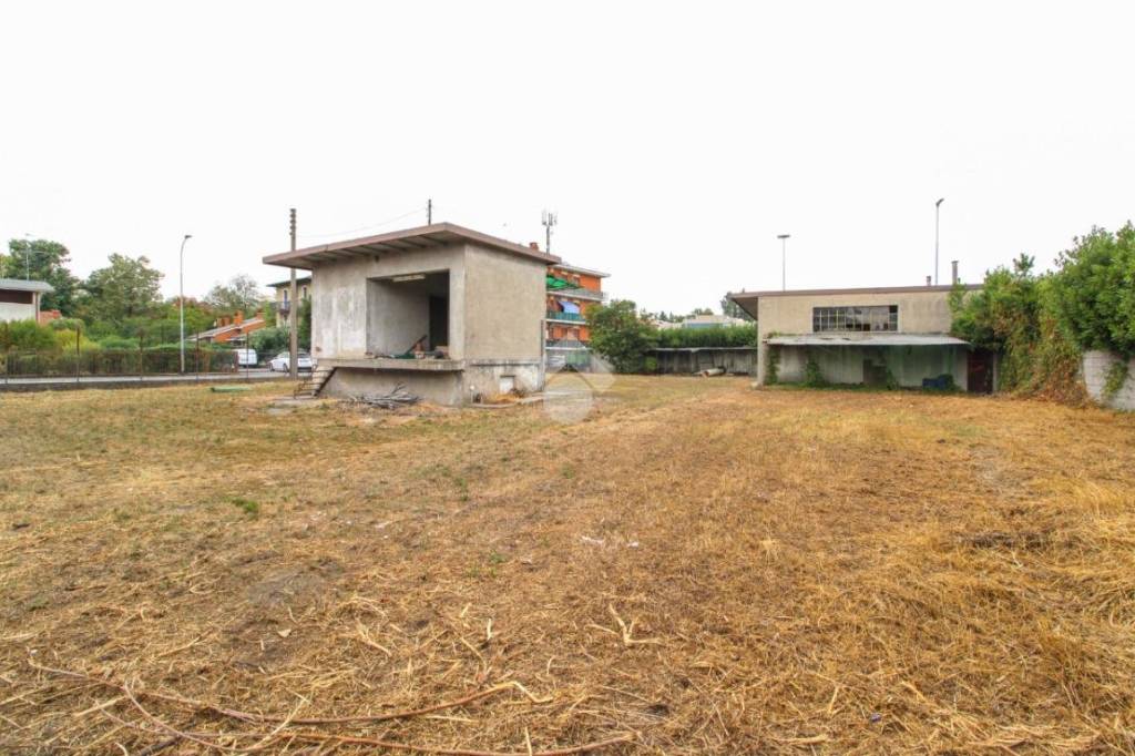 immagine annuncio 9 di 15