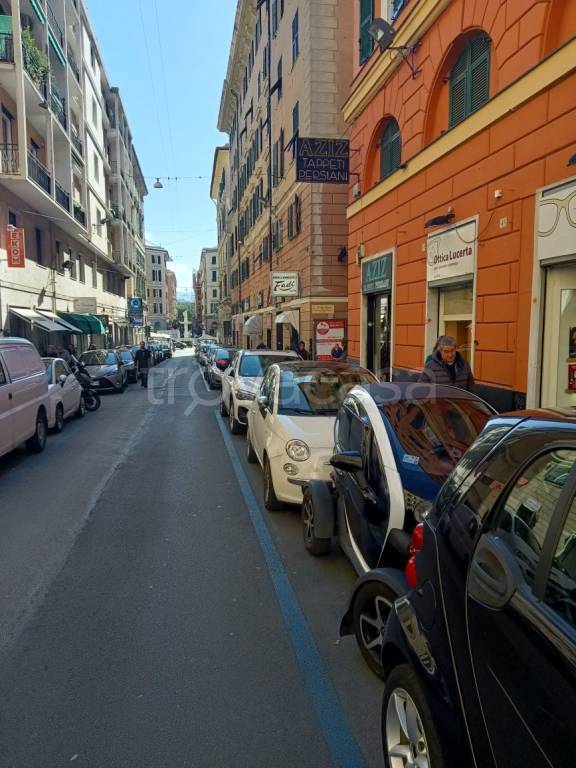 immagine annuncio 7 di 12
