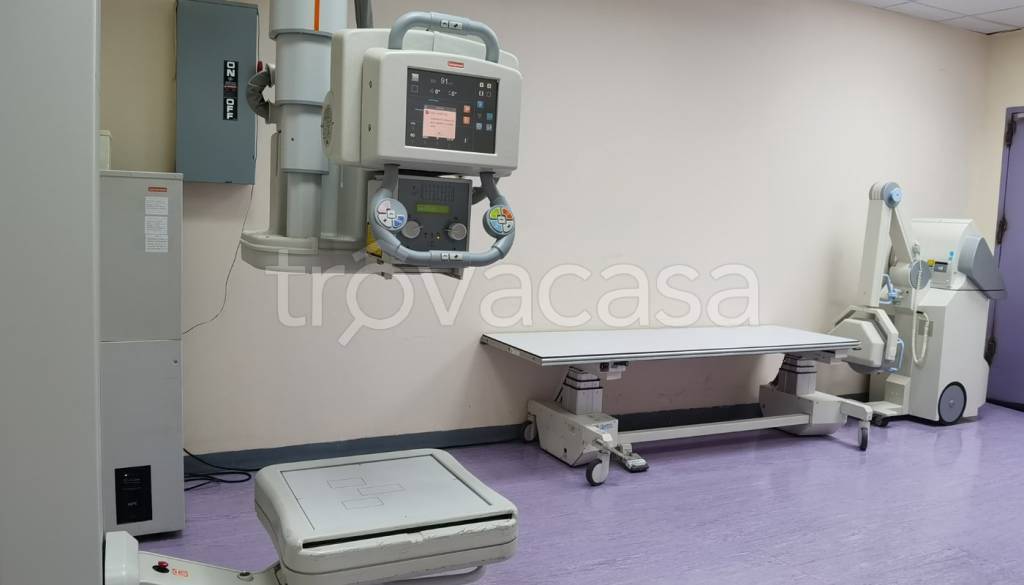 immagine annuncio 9 di 12