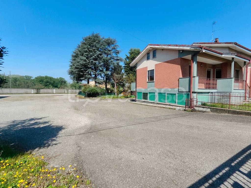 immagine annuncio 4 di 15
