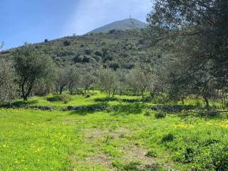 Terreno agricolo in vendita a carini via torretta