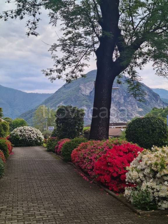 immagine annuncio 11 di 13