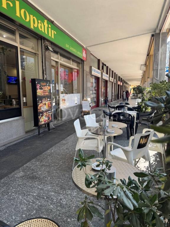 immagine annuncio 11 di 14