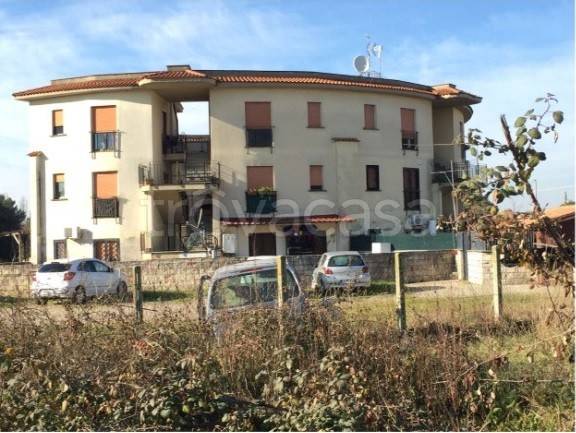 immagine annuncio 10 di 11