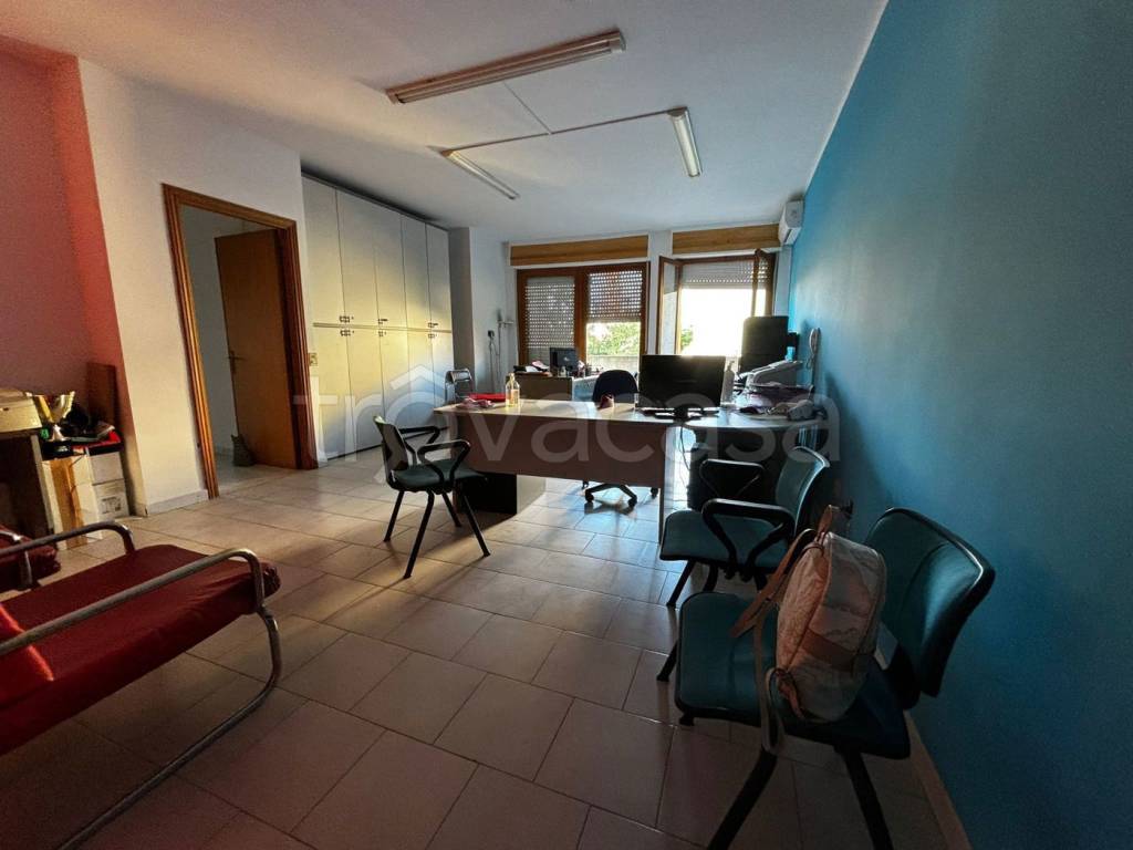 immagine annuncio 3 di 13