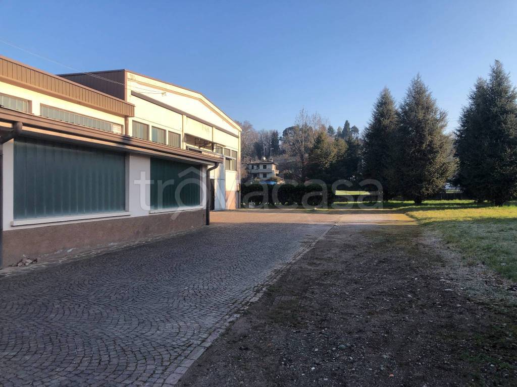 immagine annuncio 2 di 12