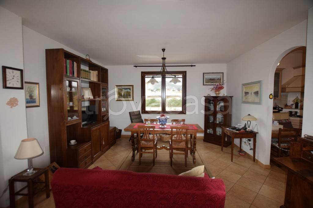 immagine annuncio 3 di 14