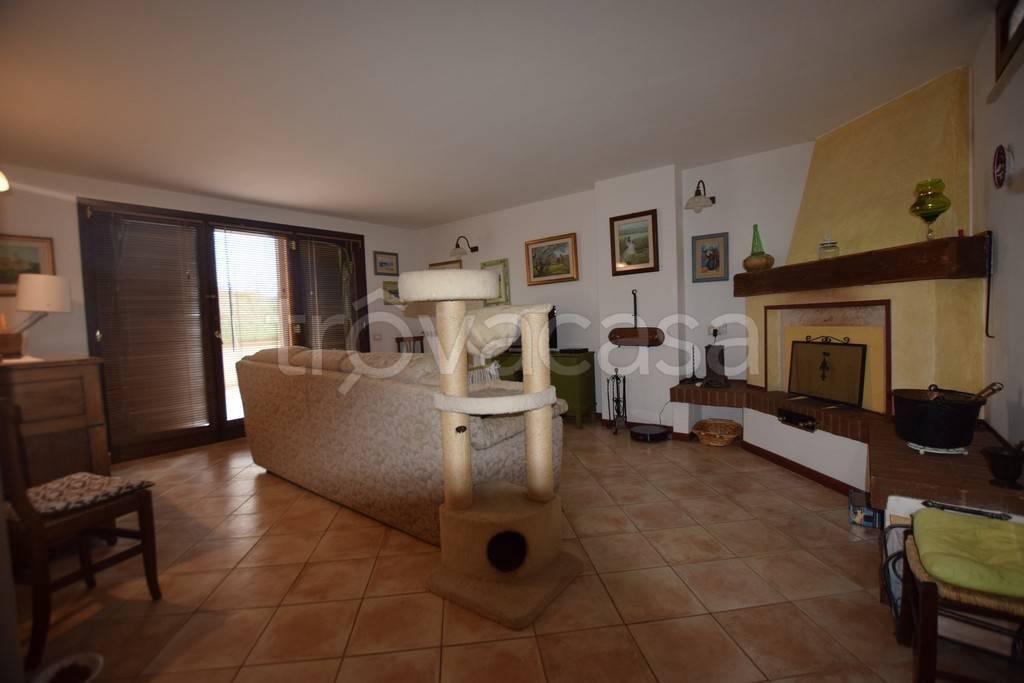 immagine annuncio 13 di 14