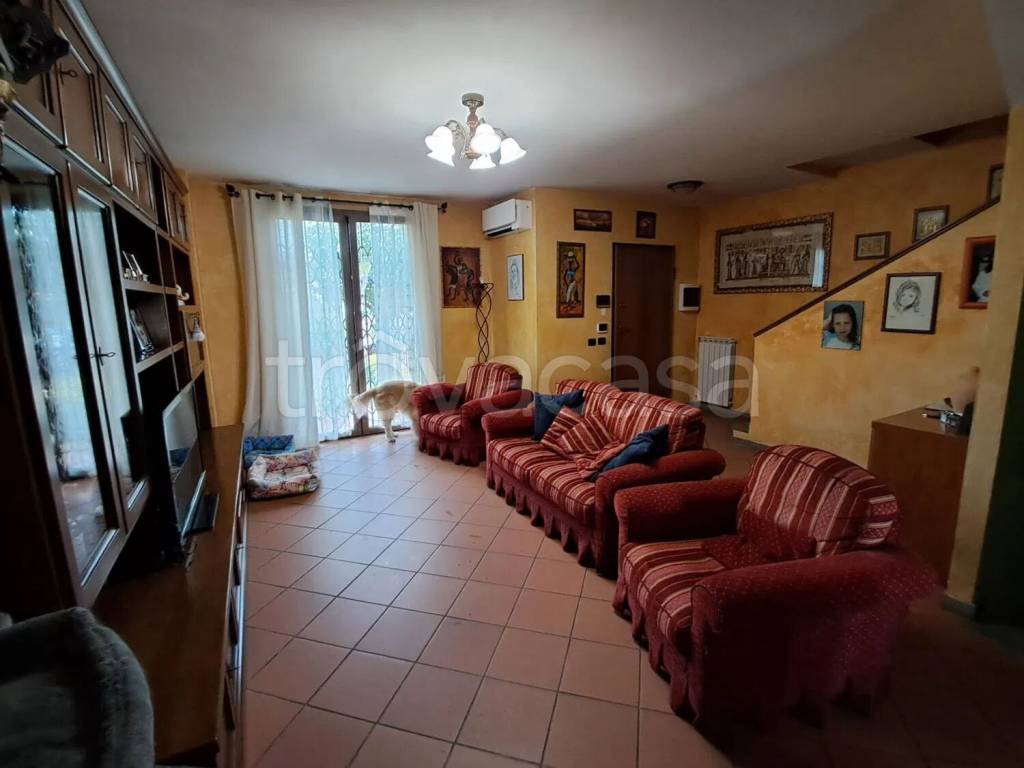 immagine annuncio 10 di 15