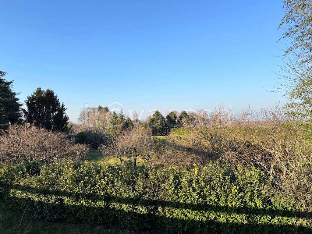 immagine annuncio 6 di 7
