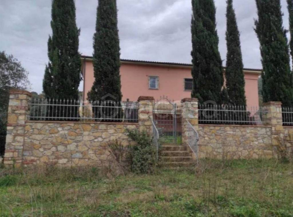 immagine annuncio 4 di 14