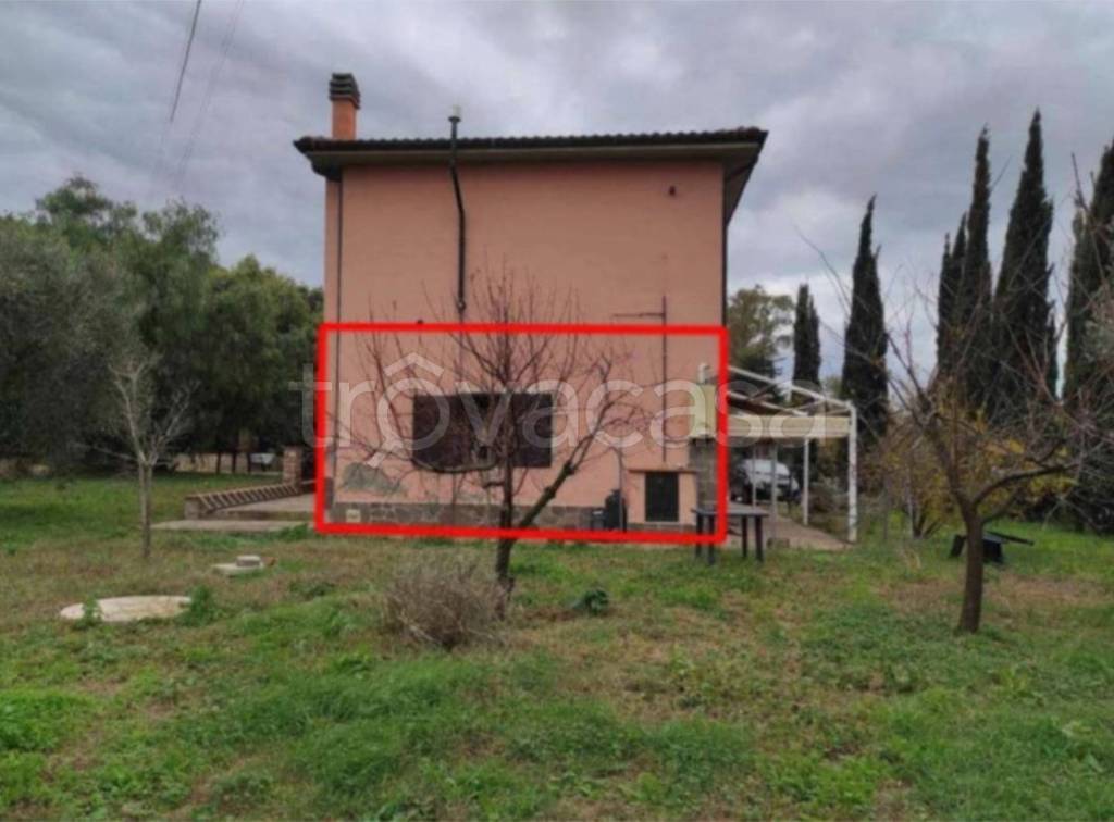 immagine annuncio 9 di 14