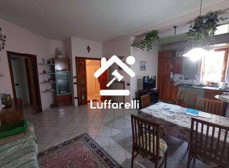 immagine annuncio 1 di 12