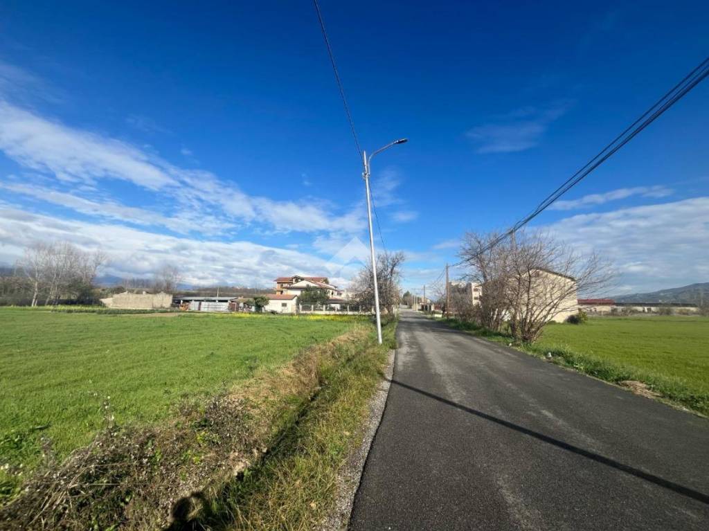 immagine annuncio 2 di 9