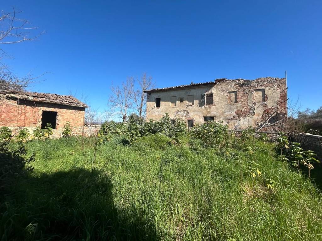 immagine annuncio 3 di 14