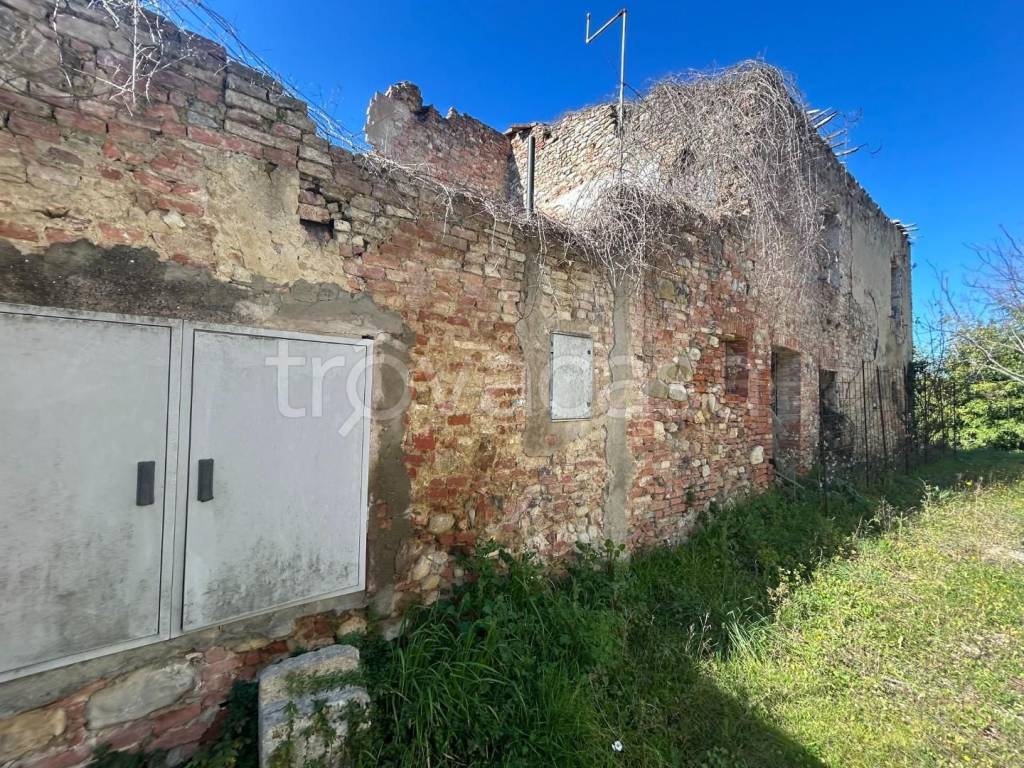immagine annuncio 5 di 14