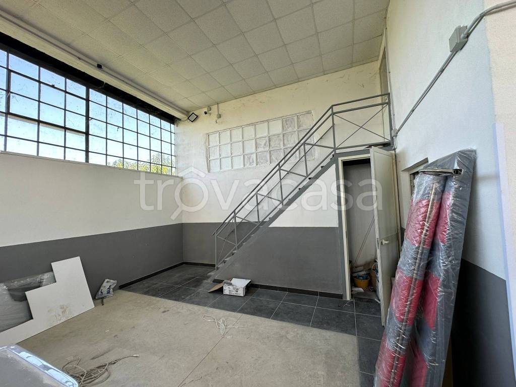 immagine annuncio 6 di 11