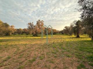 Terreno residenziale in vendita a carovigno sp38