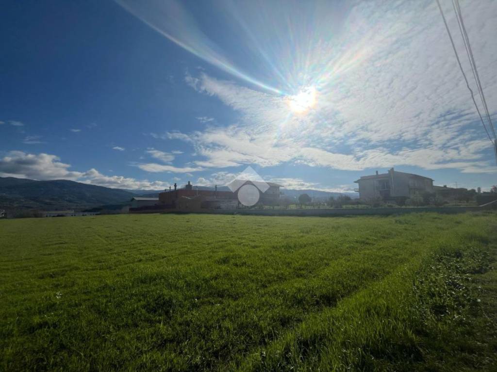 immagine annuncio 6 di 14