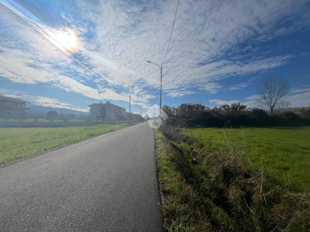 immagine annuncio 3 di 14