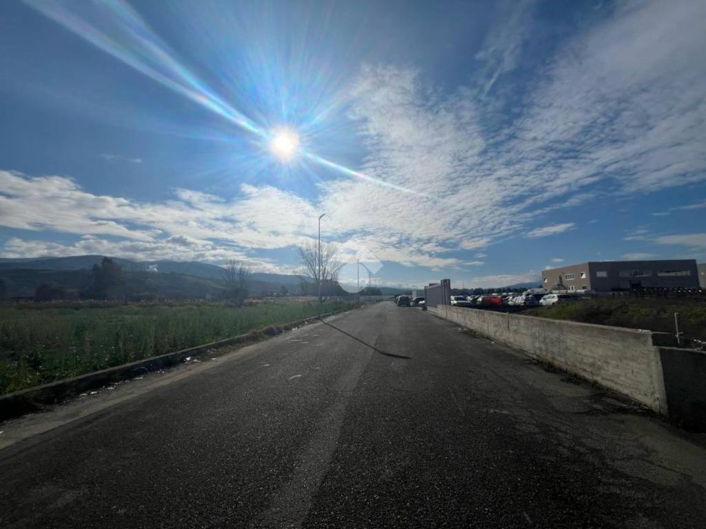 immagine annuncio 9 di 14