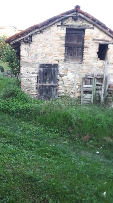 immagine annuncio 10 di 13