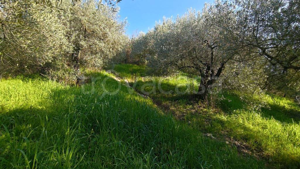 immagine annuncio 1 di 7