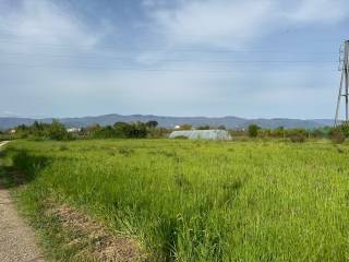 Terreno agricolo in vendita a pistoia via montebuono