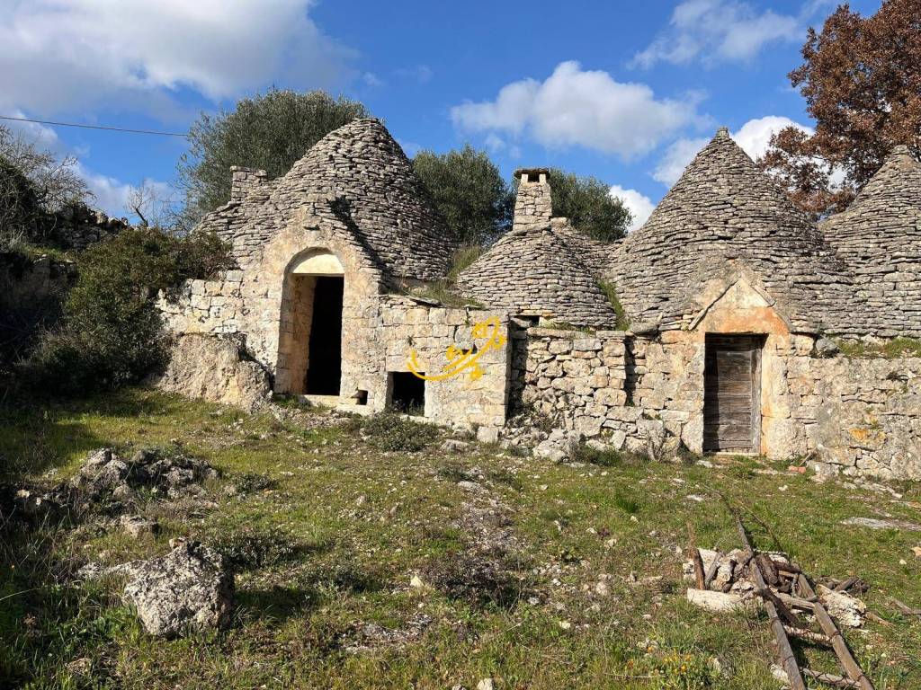 immagine annuncio 1 di 8