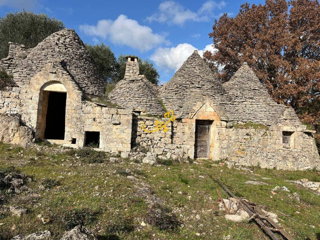 immagine annuncio 2 di 8