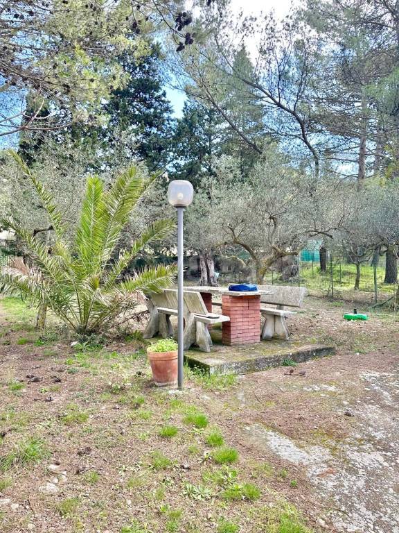 immagine annuncio 8 di 12