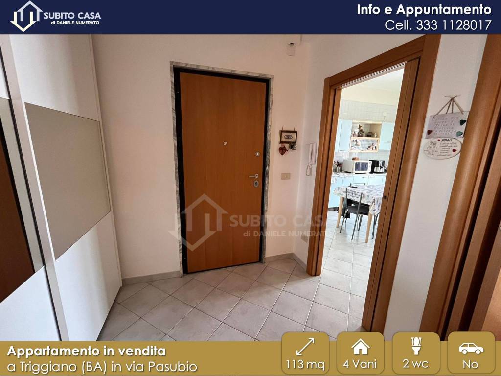 immagine annuncio 1 di 14