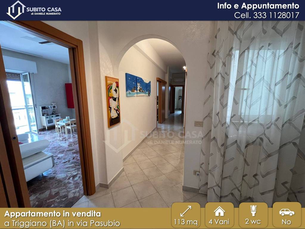 immagine annuncio 4 di 14