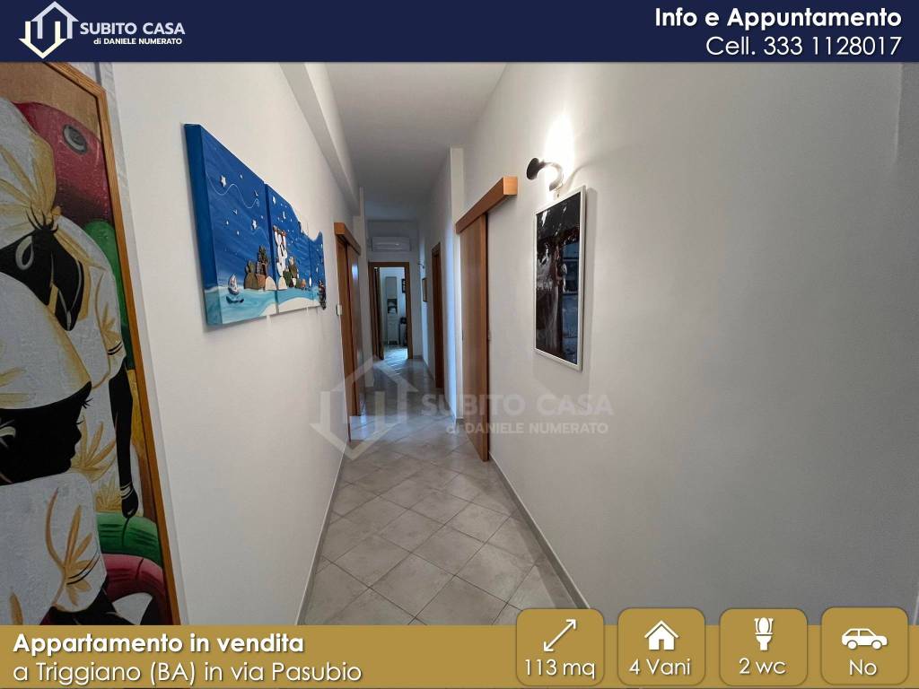 immagine annuncio 5 di 14